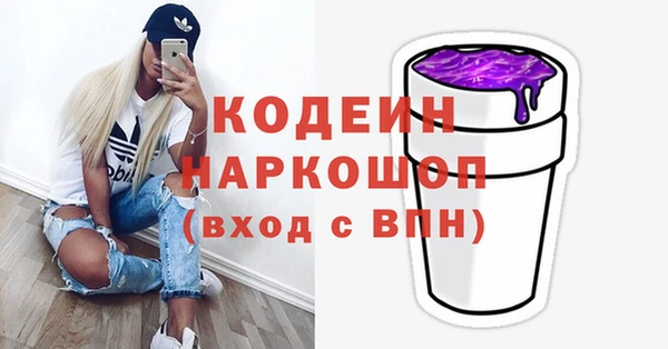 дмт Инта