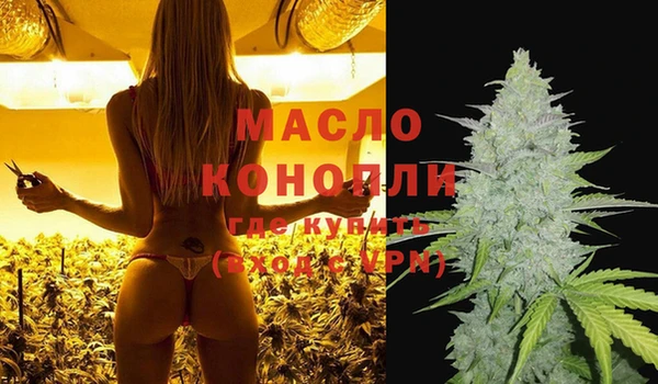 дмт Инта