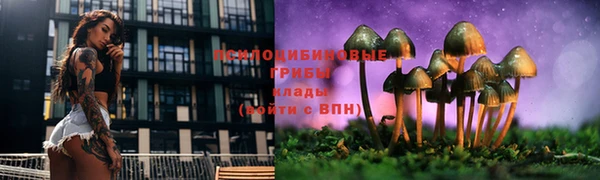 дмт Инта