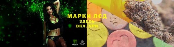 дмт Инта