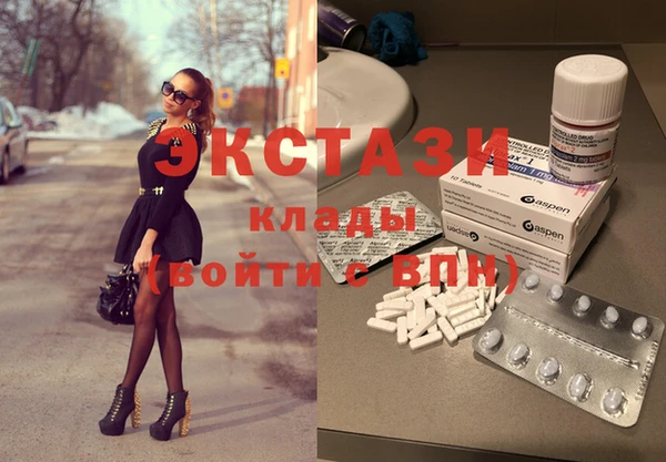 дмт Инта