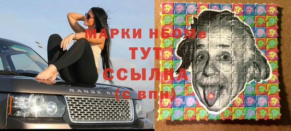 дмт Инта