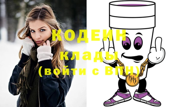 дмт Инта