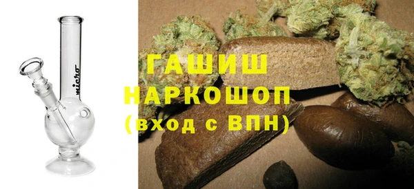 дмт Инта