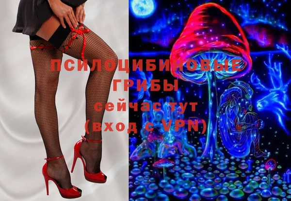 дмт Инта